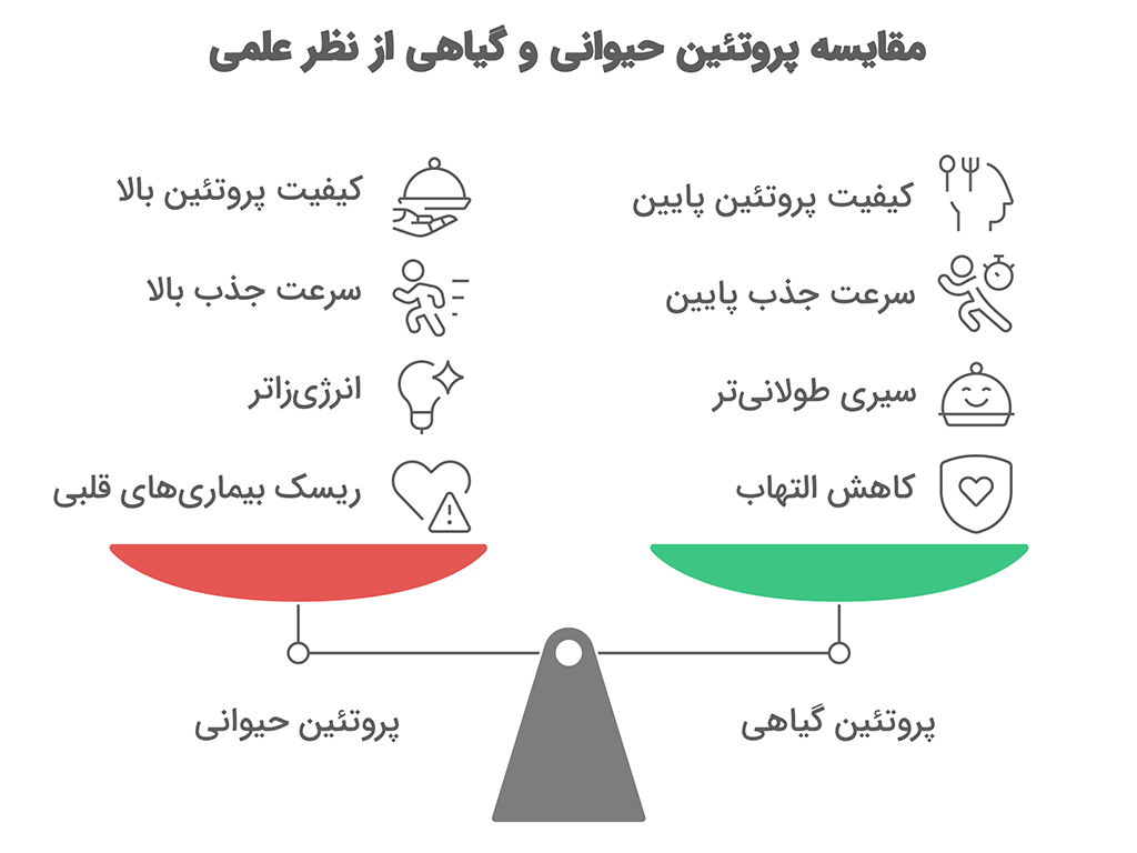 اینفوگرافی مقایسه علمی پروتئین حیوانی و گیاهی از نظر ارزش تغذیه‌ای، جذب، و تفاوت در ویتامین‌ها و اسیدهای آمینه.