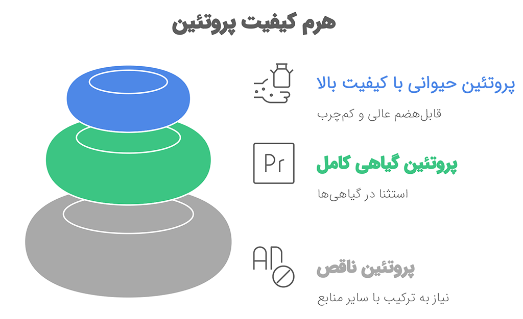 اینفوگرافی هرم کیفیت پروتئین
